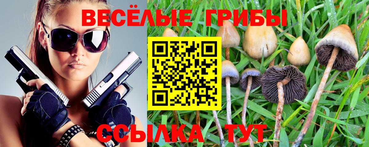Псилоцибиновые грибы Cubensis  Галлюциногенные грибы GOLDEN TEACHER  Обь  Вход с VPN 